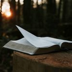Книга, смыслы и письмо